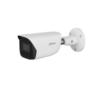 Camera DH-IPC-HFW3441E-AS-S2